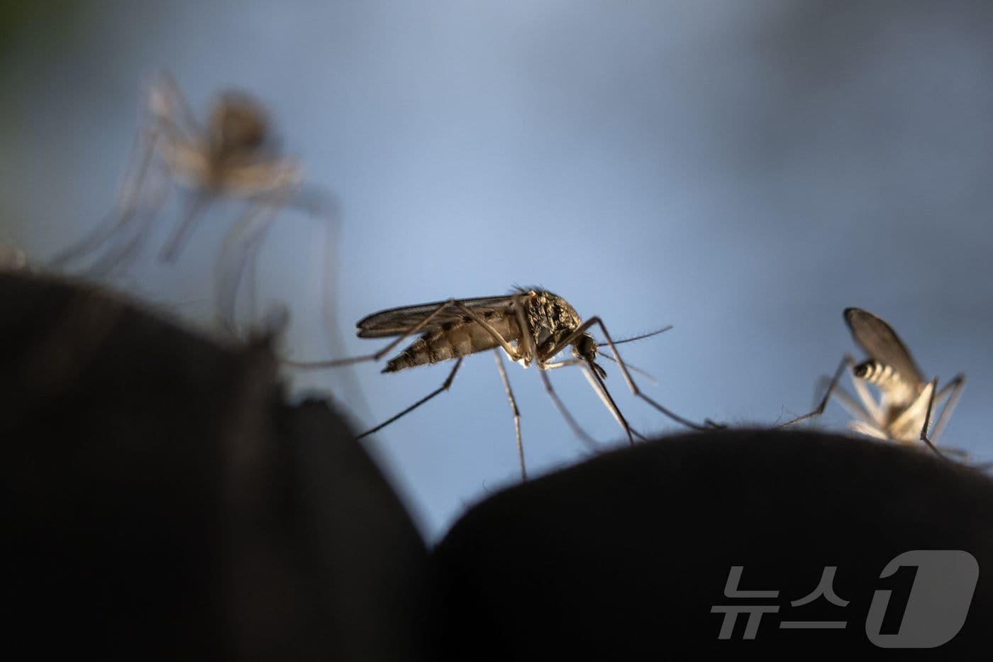 본문 이미지 - <기사와 관계없는 자료사진> ⓒ AFP=뉴스1
