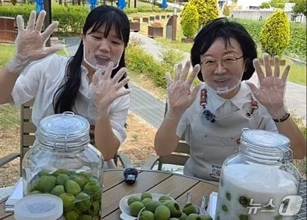 본문 이미지 - 오유경 식품의약품안전처장(오른쪽)이 지난 11일 유튜브 라이브 방송 '식약처장의 5분 라이브'에서 매실청 담그기를 시연하며 안전한 제조·보관 방법을 설명하고 있다. (유튜브 '오유경 식약처장' 캡처)