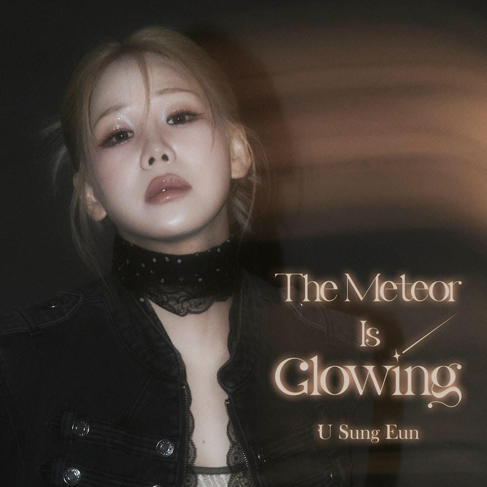 본문 이미지 - 유성은