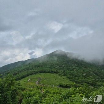 본문 이미지 - ‘야생화의 숲, 천상의 화원 곰배령’ 곰배령트레킹.(인제군 제공. 재판매 및 DB금지)/뉴스1