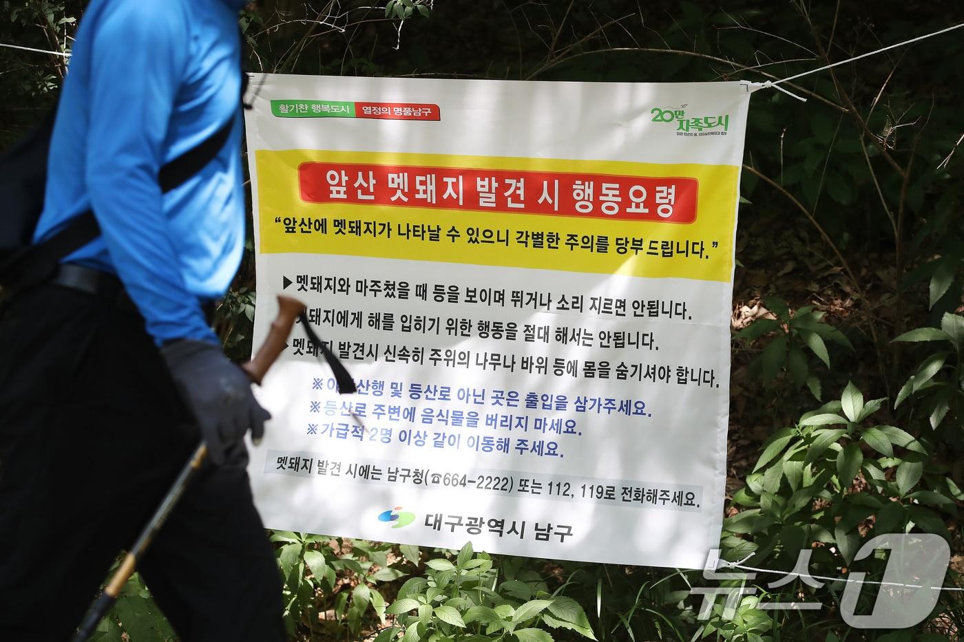 본문 이미지 - 18일 오후 대구 남구 앞산 고산골 공룡공원 주변에 멧돼지 출현에 대비해 행동요령을 알리는 현수막이 걸려 있다. 2026.6.18 ⓒ 뉴스1 공정식 기자