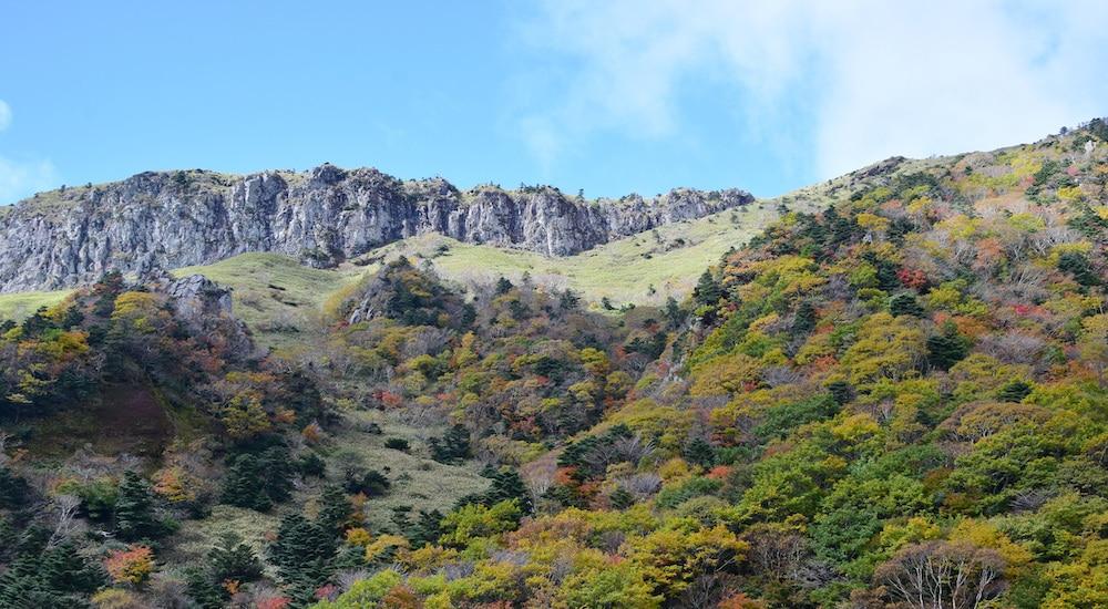 본문 이미지 - 한라산 관음사 탐방로.(제주특별자치도 한라산국립공원관리소 홈페이지 갈무리)
