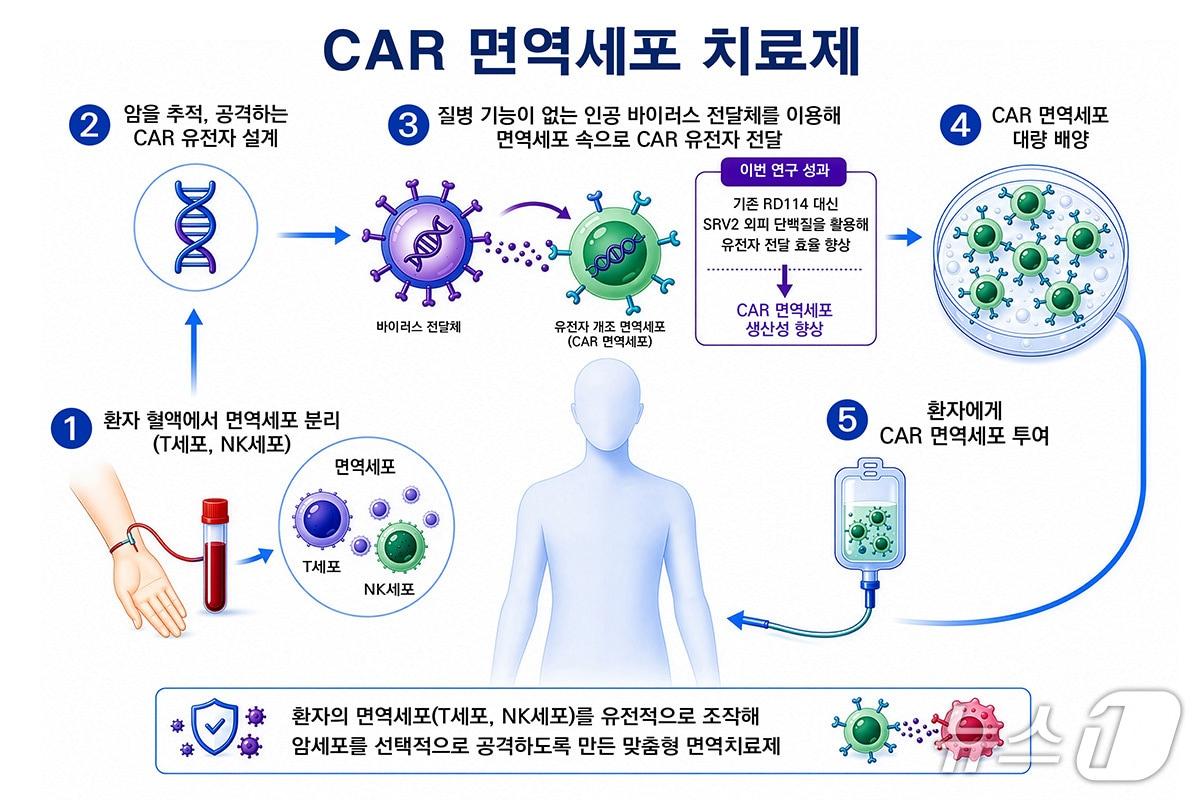 본문 이미지 - CAR 면역세포 치료제 생산 과정(한국화학연구원 제공) /뉴스1