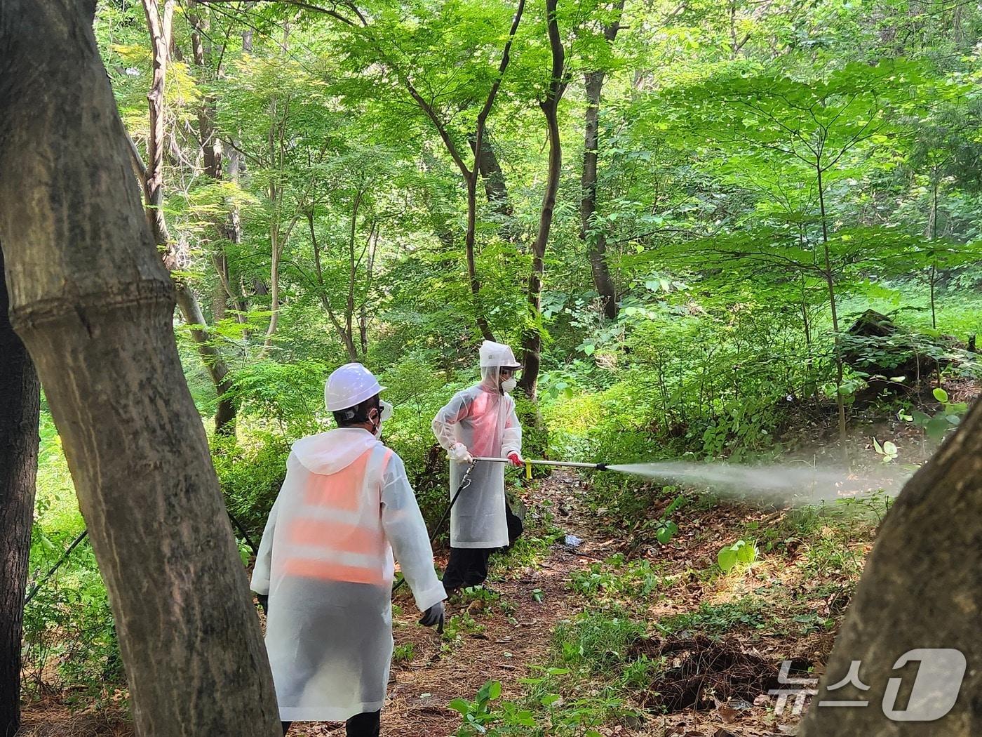 본문 이미지 - 미생물살충제 살포 작업(경기 부천시 제공/뉴스1)