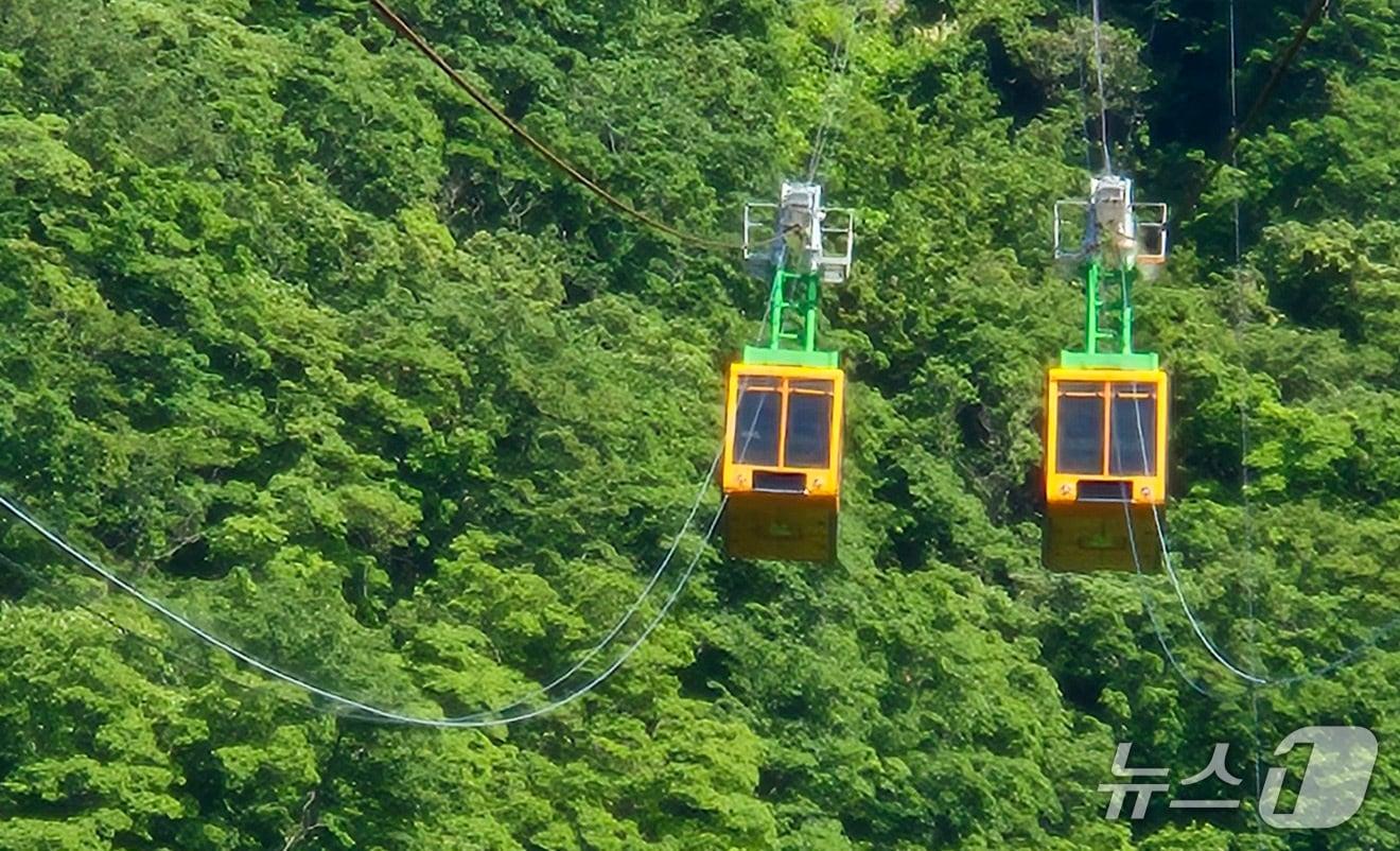 본문 이미지 -  경북 울릉군 도동약수공원에서 망향봉 정상까지 488m를 왕복 운행하는 독도전망대케이블카가 한달간 안점검검을 마치고 운행을 재개했다.(울릉군 제공, 재판매 및 DB금지) 2026.6.2/뉴스1