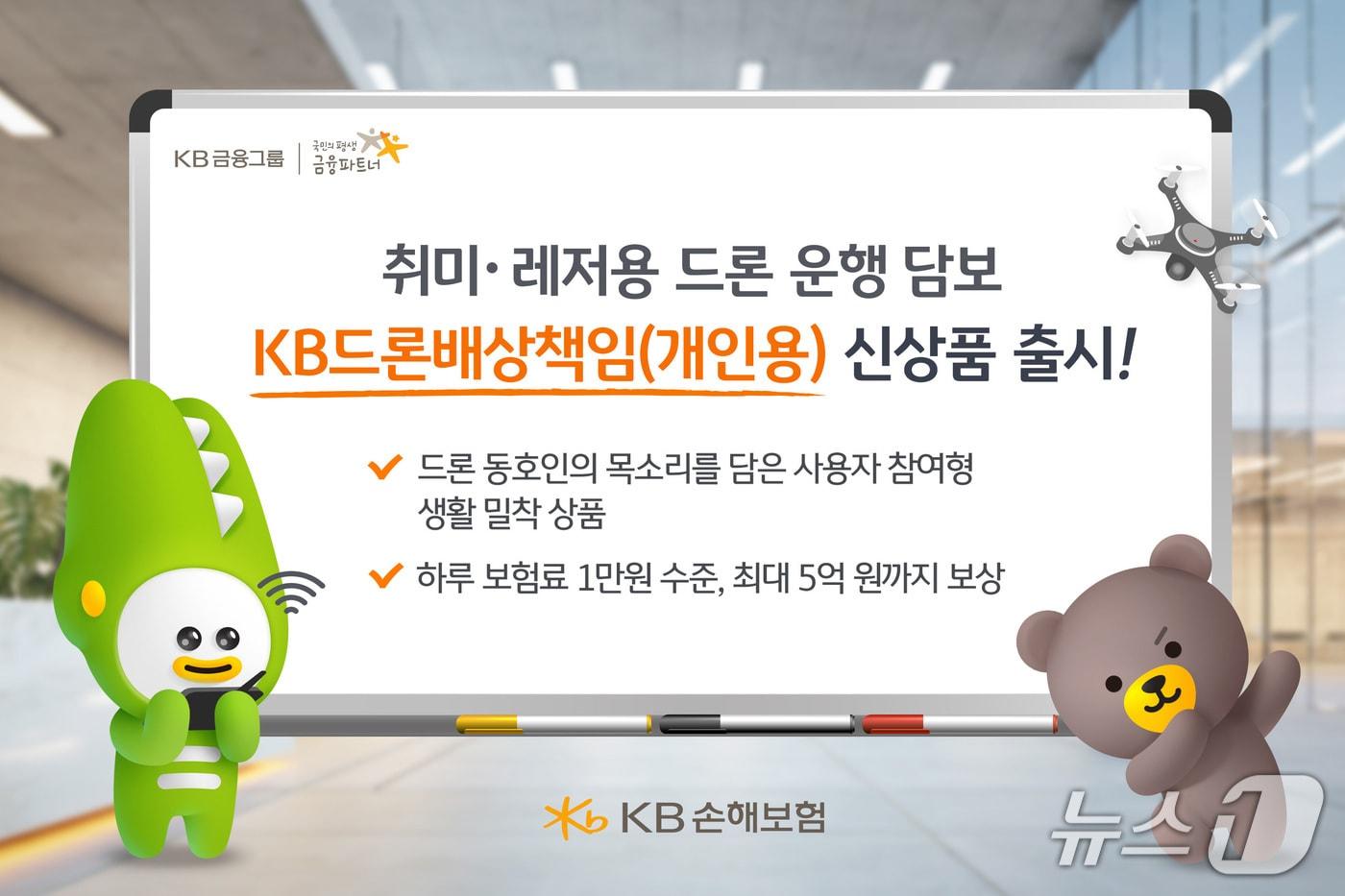 본문 이미지 - KB손해보험, 드론 커뮤니티와 함께 만든 개인용 드론보험 출시/사진제공=KB손해보험