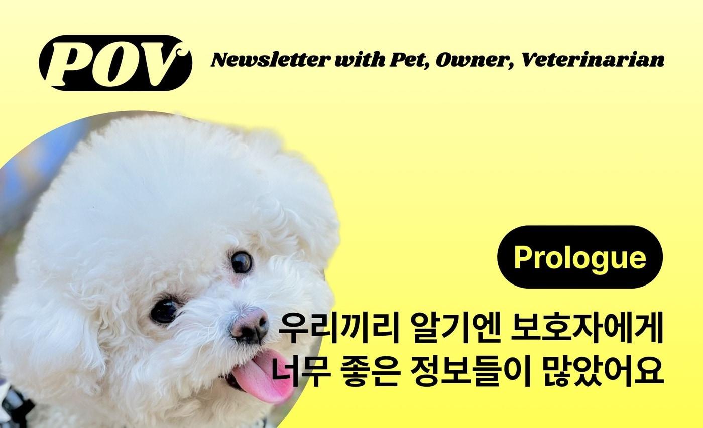 본문 이미지 - 뉴스레터 포브(벳아너스 제공) ⓒ 뉴스1