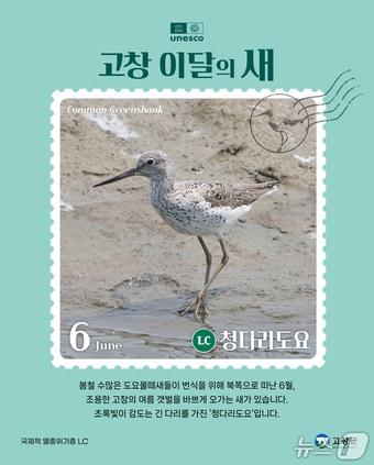 본문 이미지 - 전북 고창군이 6월 이달의 새로 청다리도요를 선정했다.(고창군 제공. 재판매 및 DB금지)