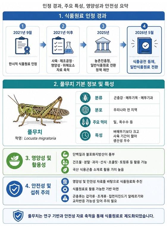 본문 이미지 - 풀무치 식품원료 인정 경과 및 특성(농촌진흥청 제공. 재판매 및 DB금지) 2026.6.2 /뉴스1