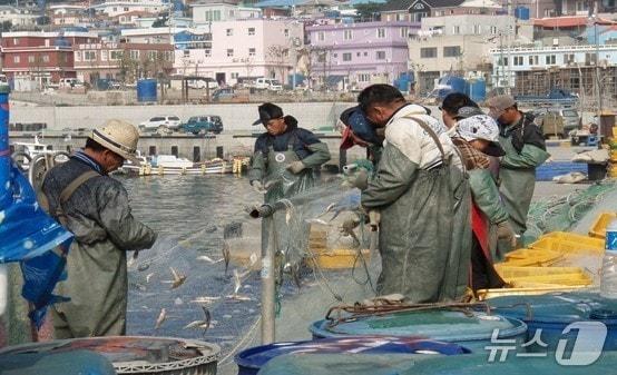 본문 이미지 - 생분해성어구로 작업 중인 어민들(해양수산부 제공)ⓒ News1