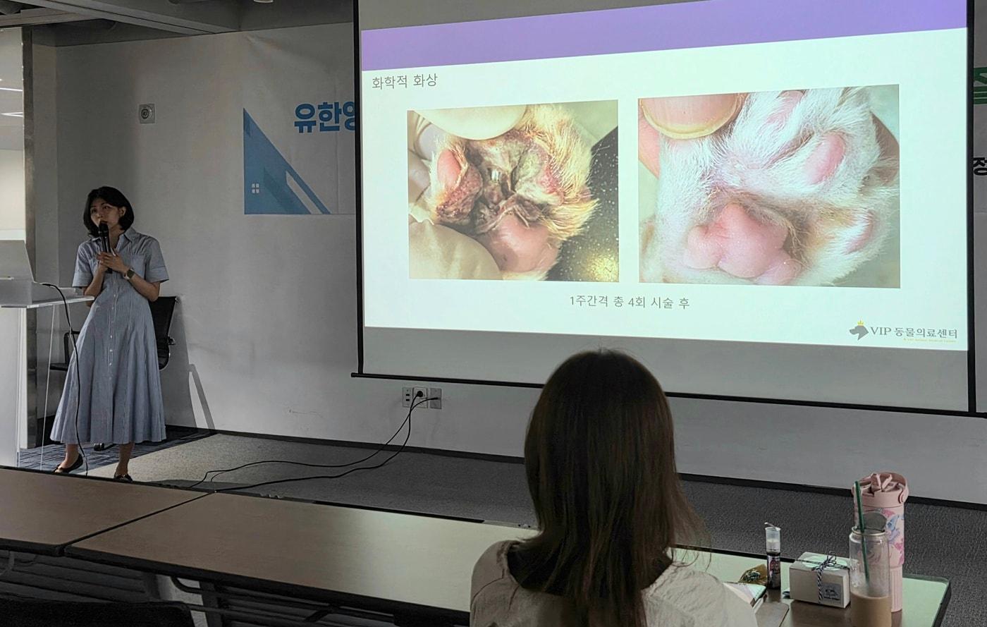 본문 이미지 - 지간염 치료 과정에서 약물 부작용으로 화학적 화상을 입은 고양이는 벳이즈를 1주 간격으로 총 4회 적용한 후 발바닥이 정상에 가까운 상태로 회복됐다.ⓒ 뉴스1 한송아 기