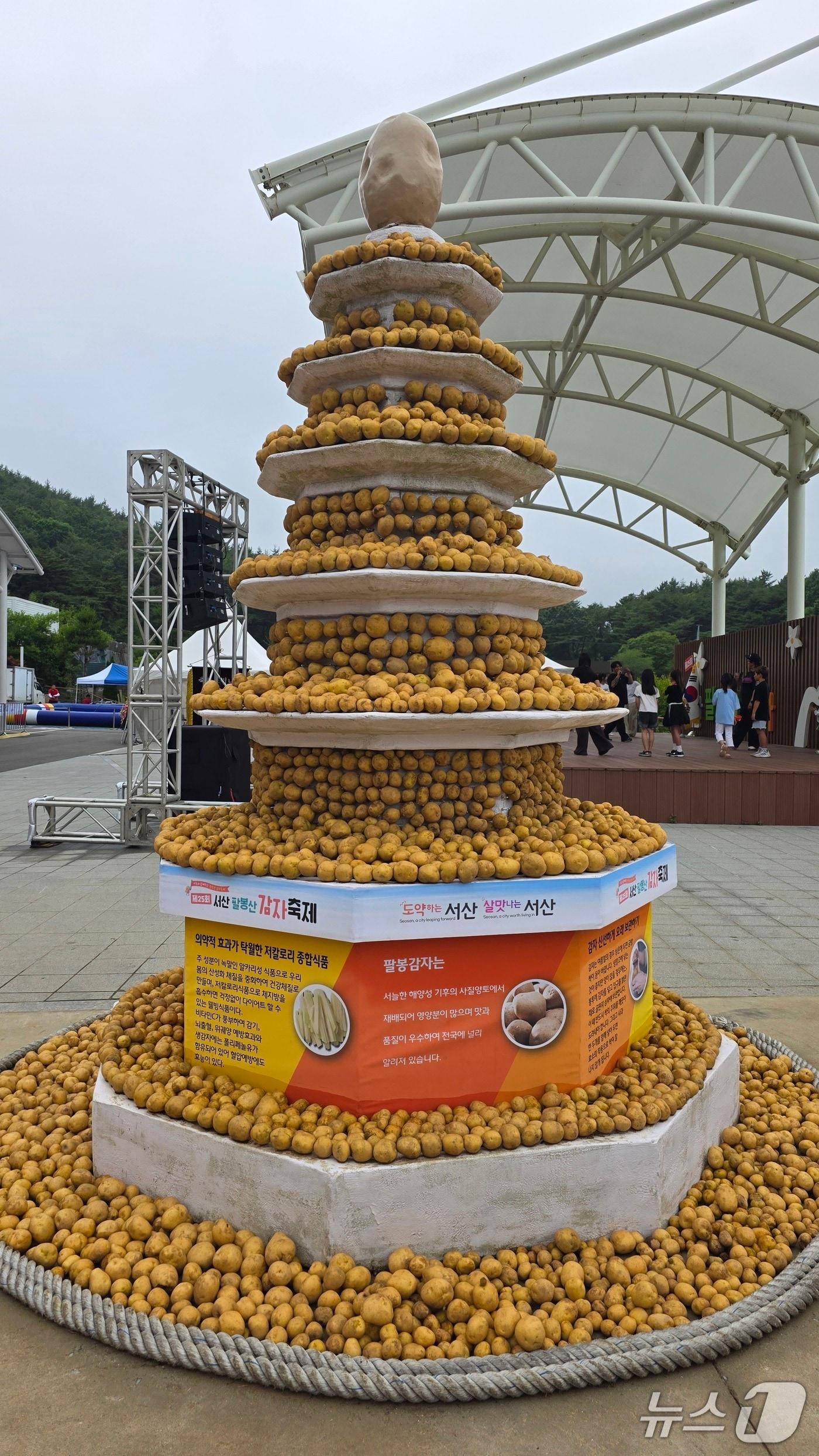 본문 이미지 - 팔봉산감자축제 메인 무대 앞에 설치된 감자탑 모습ⓒ 뉴스 김태완 기자
