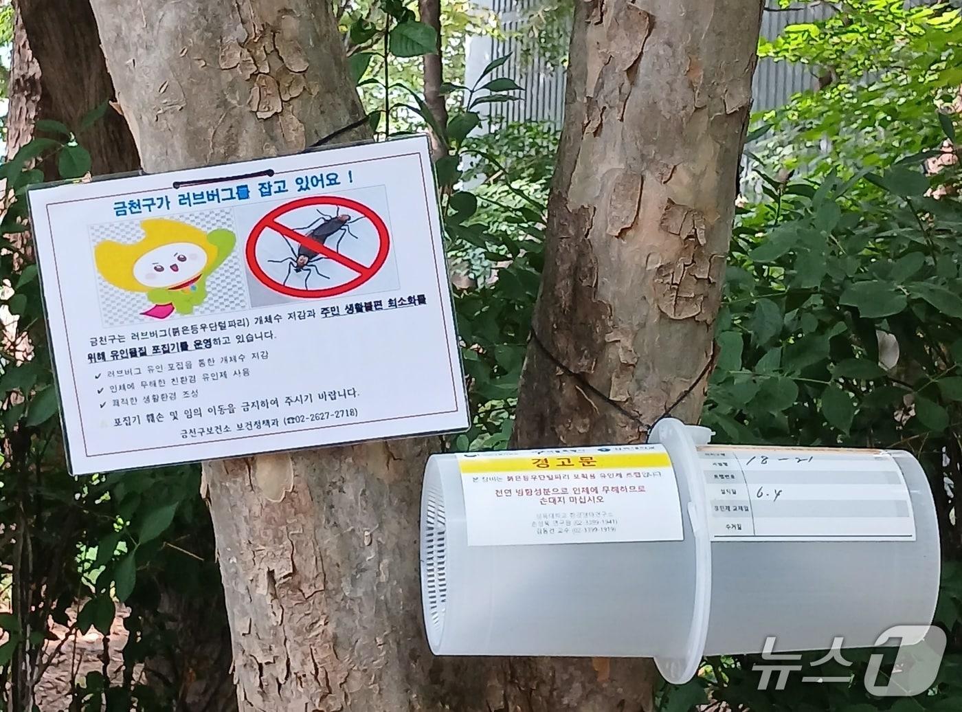 본문 이미지 - 유인물집 포집기 265대 설치.(금천구 제공)