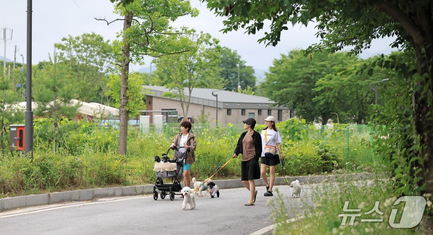 본문 이미지 - 전북 임실군이 지난 20~21일 오수의견 국민여가캠핑장을 중심으로 반려인과 반려견이 함께 즐기는 체류형 관광 프로그램인 '임실 댕댕캠핑'을 운영했다.(임실군제공, 재판매 및 DB금지)2026.6.22/뉴스1
