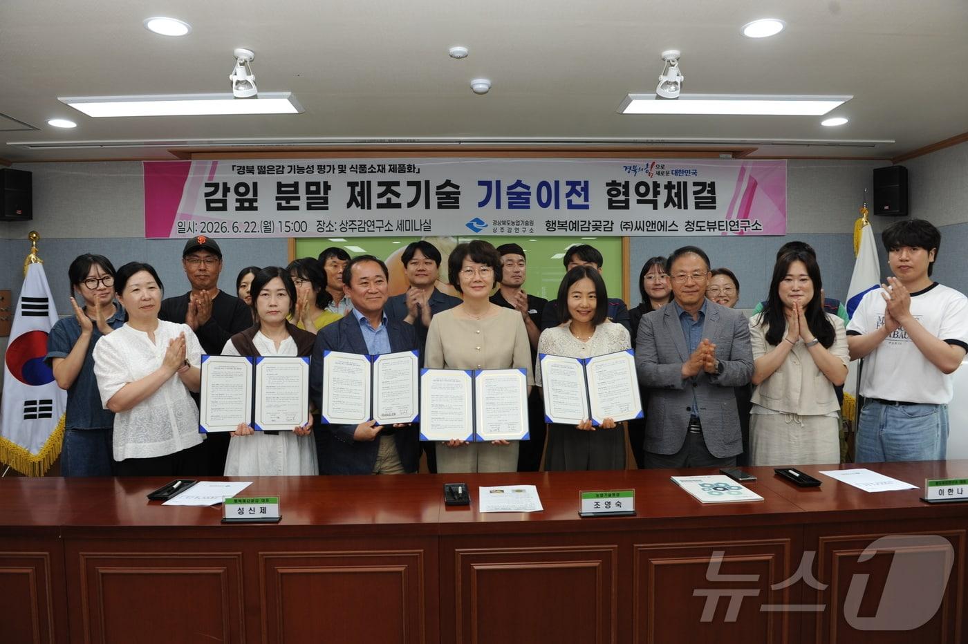 본문 이미지 - 경북농업기술원은 23일 상주감연구소에서 행복예감곶감, ㈜씨앤에스, 청도뷰티연구소 등 3개 업체와 감잎분말 제조기술 무상이전 계약을 체결했다.(경북농기원 제공)/뉴스1