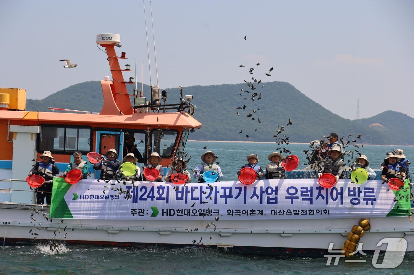 본문 이미지 - HD현대오일뱅크가 주관한 바다가꾸기 사업에 참여한 참가자들이 삼길포 인근 해역에서 해상 치어 방류 활동을 펼치고 있다.(오일뱅크 제공. 재판매 및 DB금지)/뉴스1