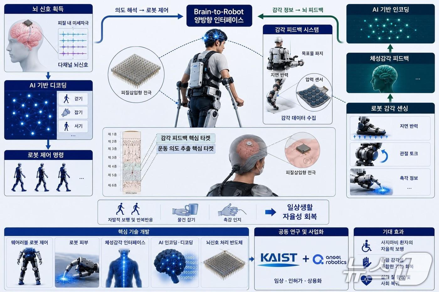 본문 이미지 - 차세대 뇌-로봇 인터페이스 플랫폼 '브레인-투-로봇' 개요(KAIST 제공) /뉴스1