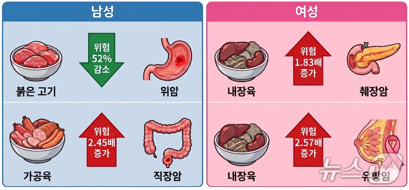 본문 이미지 - 한국 성인의 육류 섭취와 암 사망률 간의 연관성.(서울대병원 제공)