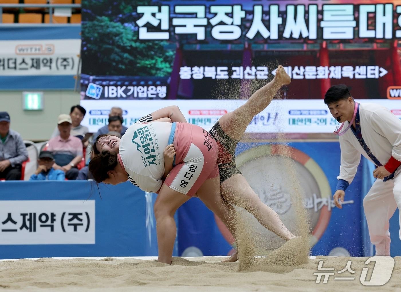본문 이미지 - 3회 괴산유기농배 전국장사씨름대회 괴산군청 김다영 선수 경기 모습.(괴산군 제공. 재판매 및 DB금지)/뉴스1