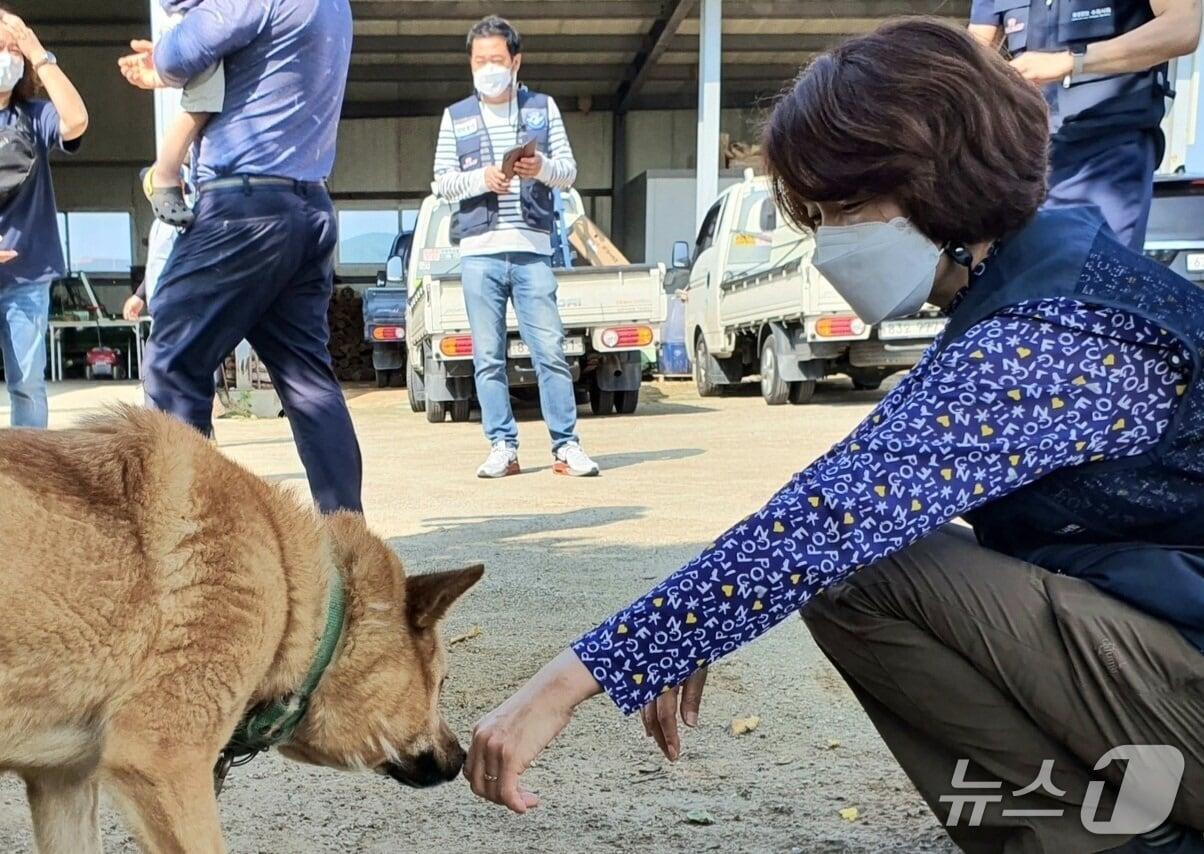 본문 이미지 - 한정애 의원이 실외사육견과 교감하고 있다. 2021.6.27/뉴스1 (자료사진) ⓒ News1 최서윤 기자