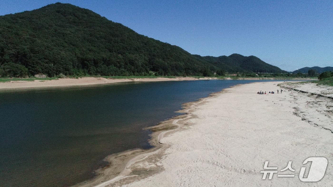 본문 이미지 - 충남 공주 고마나루 모습.(환경단체 제공. 재판매 및 DB금지)/뉴스1