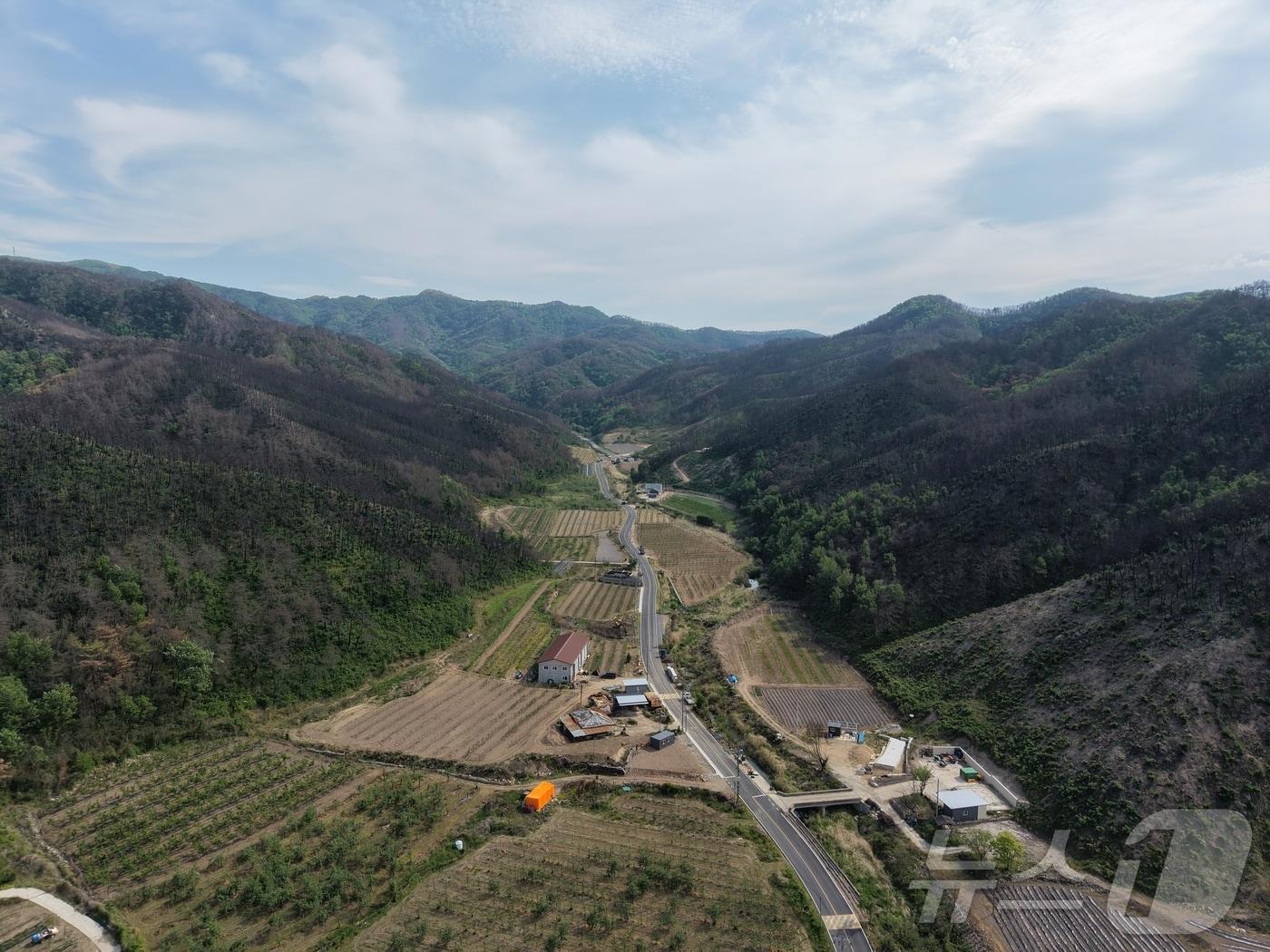 본문 이미지 - 경북도는 29일 안동시 길안면 백자리 산45번지 일원을 제2호 산림경영특구로 지정·고시했다. /뉴스1