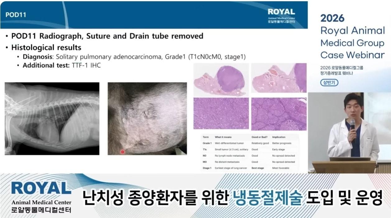 본문 이미지 - 로얄동물메디컬그룹 2026 정기증례발표회에서 소상재 본원 팀장이 흉강경 폐엽절제술 증례를 소개하고 있다(로얄동물메디컬그룹 유튜브 갈무리). ⓒ 뉴스1