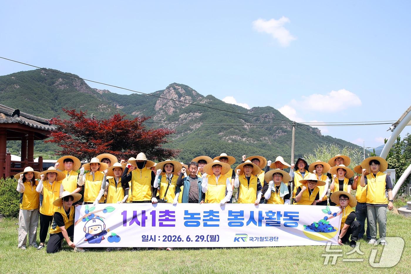 본문 이미지 - 국가철도공단은 충북 영동군 금강모치마을을 찾아 농번기 농촌 일손 돕기 봉사활동을 했다. (국가철도공단 제공.재판매 및 DB금지)/뉴스1