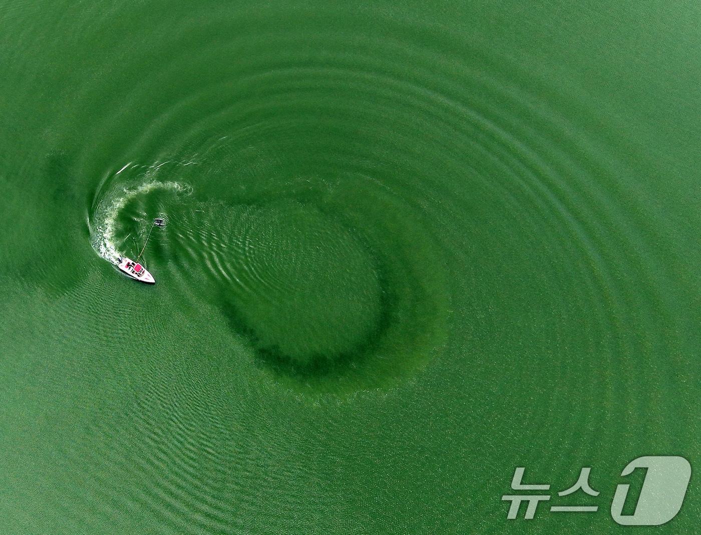 본문 이미지 - 무더운 날씨를 보인 29일 녹조 확산으로 녹색을 띠고 있는 경남 함안군 칠서취수장 취수구 일대 낙동강에서 레저객들이 수상레저활동을 하고 있다.  2026.6.29 ⓒ 뉴스1 윤일지 기자