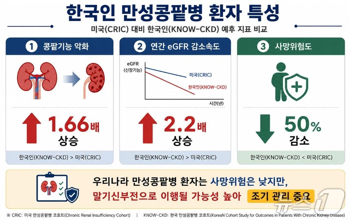 본문 이미지 - 30일 질병관리청 국립보건연구원은 대한신장학회와 함께  '국내 성인 만성콩팥병 팩트시트'를 발간한다고  밝혔다 (질병청 제공)