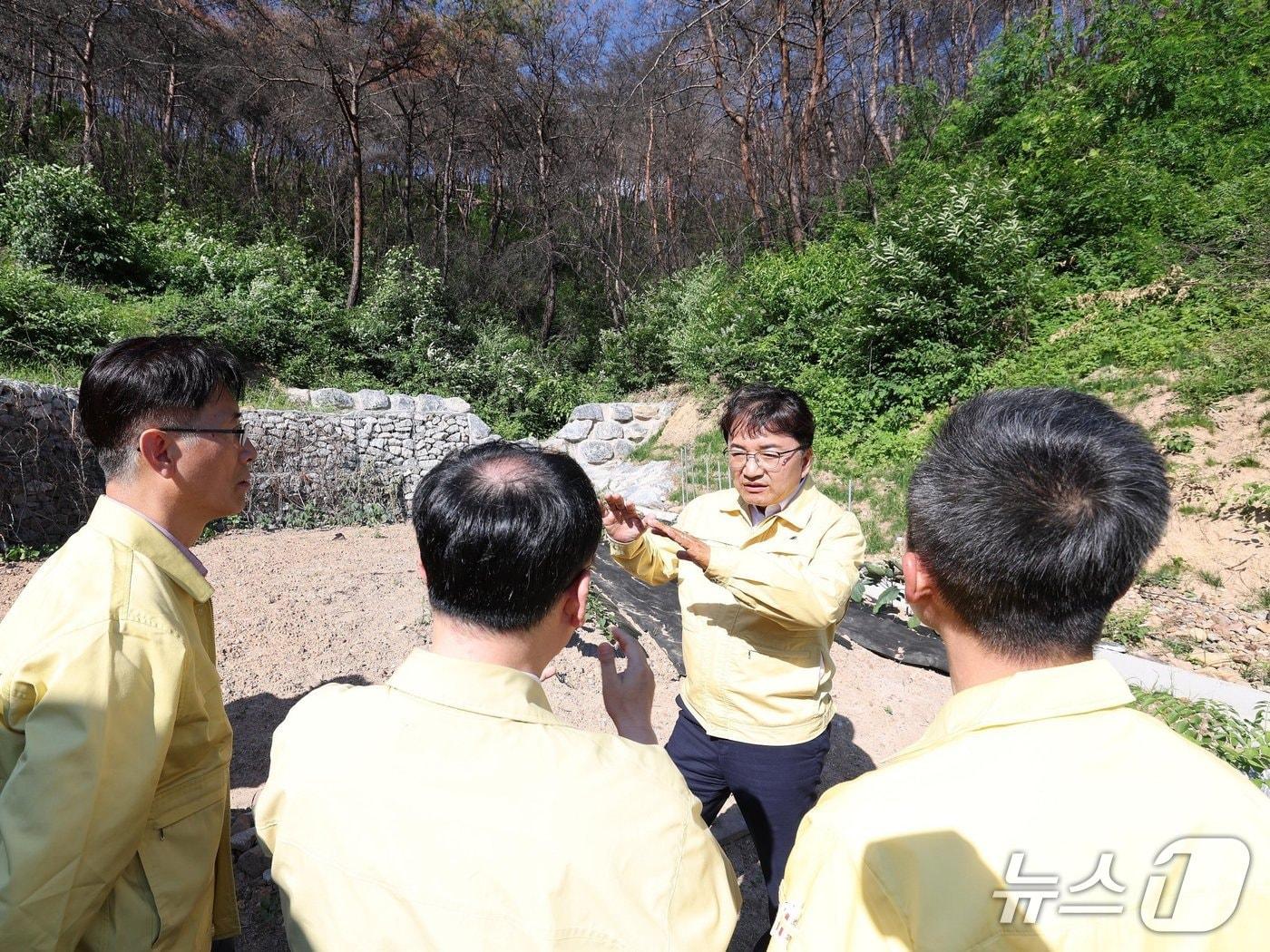 본문 이미지 - 산림청은 행정안전부와 함께 청송군을 방문해 산사태 예방을 위한 산불 피해지 복구현황을 점검했다. (산림청 제공.재판매 및 DB금지)/뉴스1
