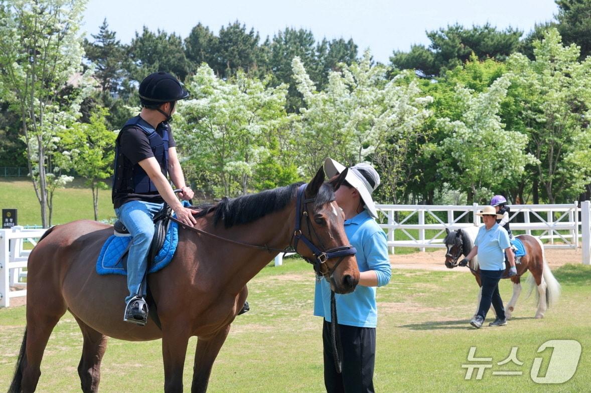 본문 이미지 - 방문객들이 승마 체험을 하고 있다.(렛츠런파크 부산경남 제공. 재판매 및 DB금지)