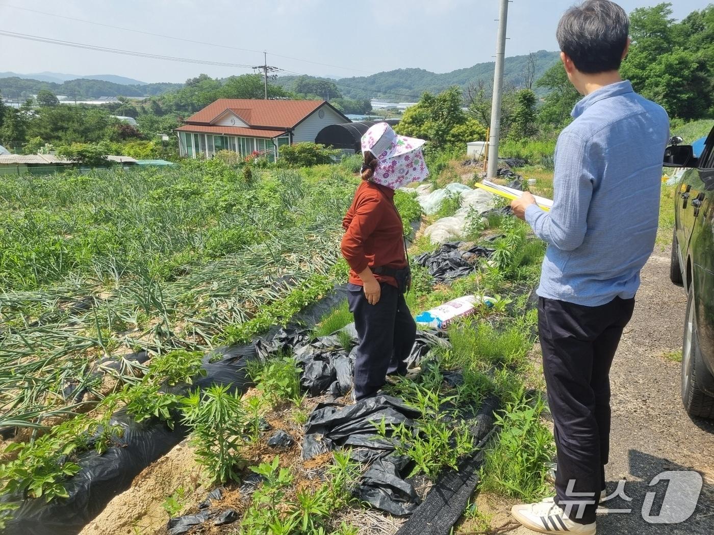 본문 이미지 - 공공급식 생산 기반 현장 조사 장면.(옥천군 제공. 재판매 및 DB금지)/뉴스1 