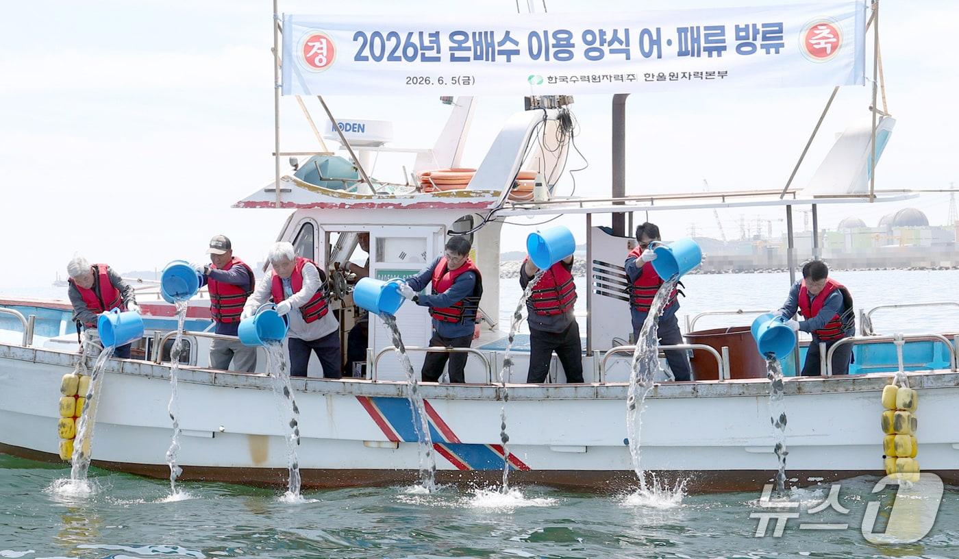 본문 이미지 - 한울원전 직원들이 5일 울진군 울진읍 석호항에서 원전 온배수로 키운 강도다리 치어 3만마리와 전복 치패 2만마리를 해상에 방류하고 있다. (한울원전 제공, 재판매 및 DB금지) 2026.6.5/뉴스1 