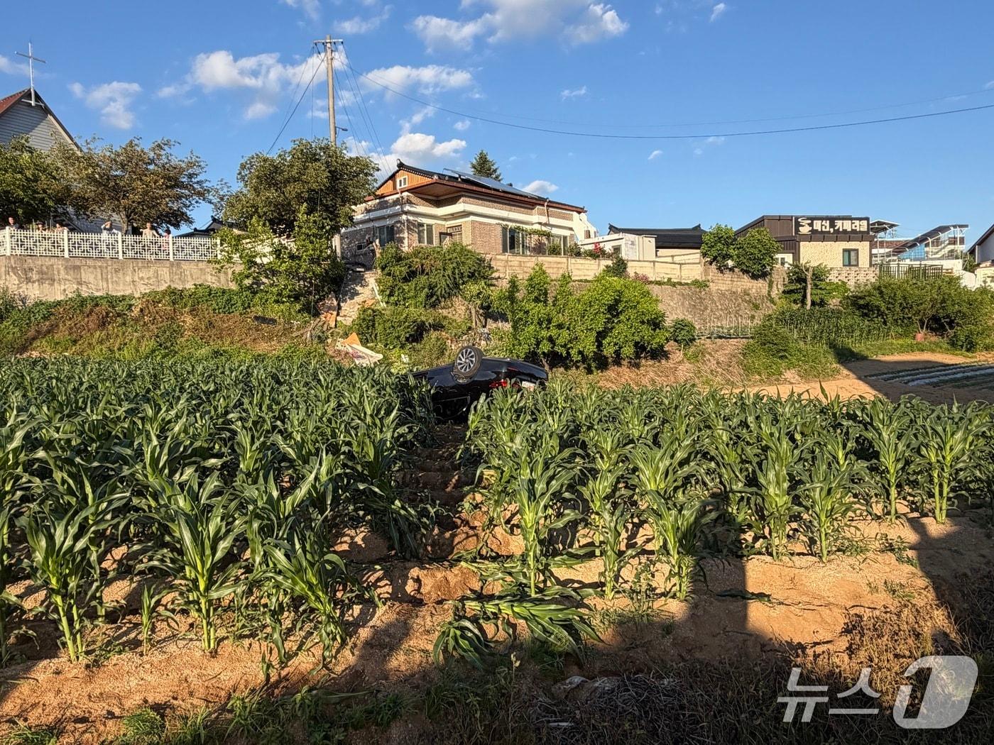 본문 이미지 -  도로 난간을 뚫고 추락한 승용차.(소방 당국 제공. 재판매 및 DB금지)/뉴스1