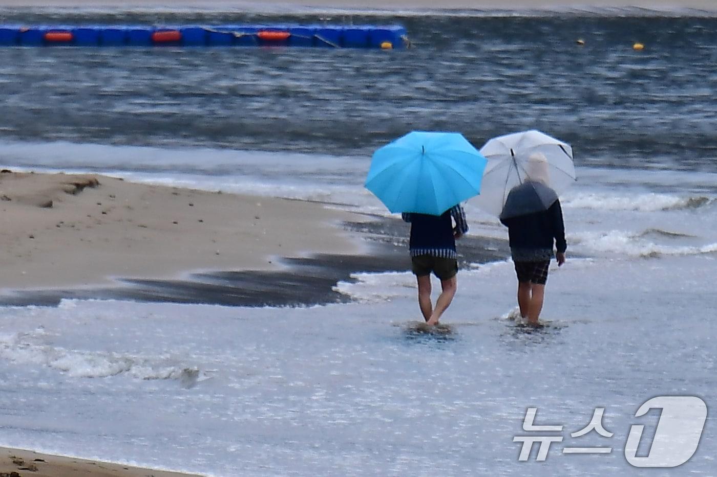 본문 이미지 - 경북 포항시 전역에 비가 내리고 있는 가운데 북구 영일대해수욕장에서 우산을 쓴 시민이 맨발 걷기를 하고 있다. 2026.6.8 ⓒ 뉴스1 최창호 기자