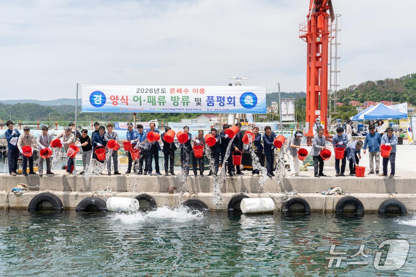 본문 이미지 -  한국수력원자력(주) 월성본부가 원전 온배수를 이용해 기른 강도다리 치어 6만 마리를 양남면 앞 바다에 방류했다고 8일 밝혔다. (한수원, 월성본부제공, 재판매 및 DB금지) 2026.6.8/뉴스1