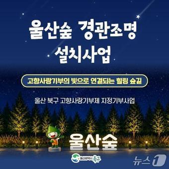 본문 이미지 - 울산숲 경관조명 설치사업 포스터.(울산 북구 제공. 재판매 및 DB금지)/뉴스1