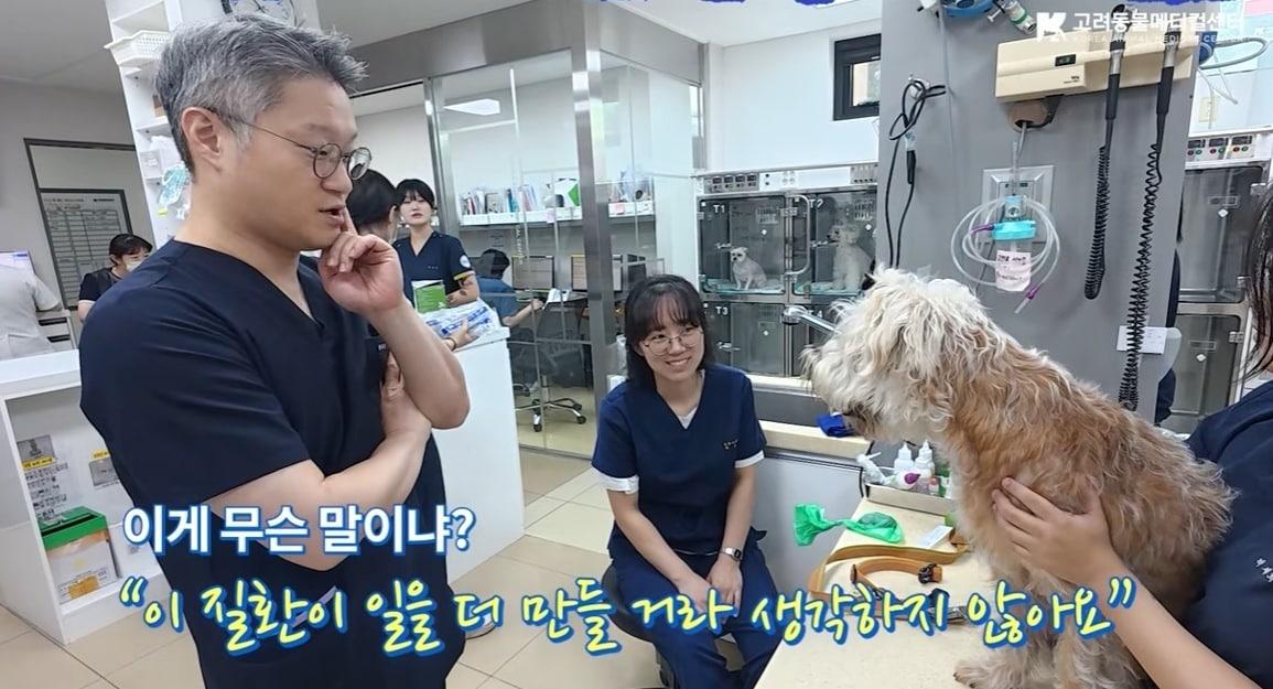 본문 이미지 - 고려동물메디컬센터가 개원 38주년을 맞아 소속 수의사들의 이야기를 담은 기념 영상을 유튜브에 공개했다(고려동물메디컬센터 유튜브 갈무리). ⓒ 뉴스1
