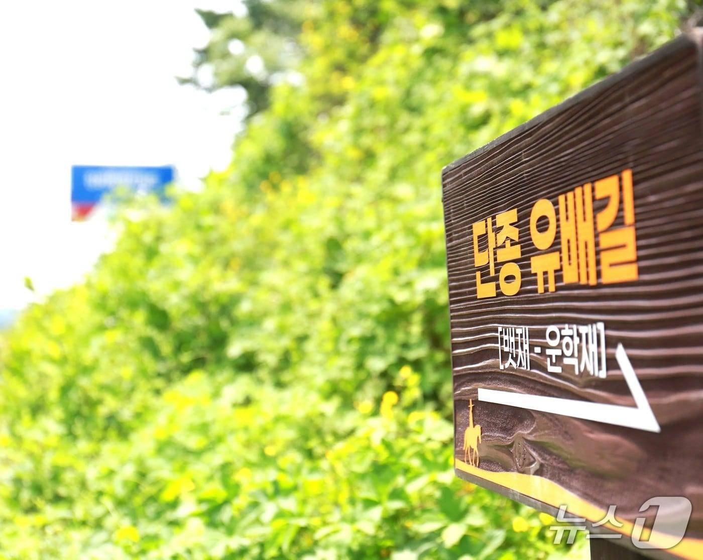 본문 이미지 - 충북 제천시 백운면 화당리 배재 정상에 설치된 '단종 유배길' 안내판. 2026.6.9/뉴스1 