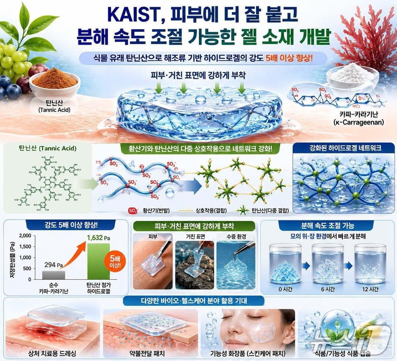 본문 이미지 - 식물 유래 폴리페놀 기반 하이드로겔 소재 설계 연구 개요(AI 생성 이미지·KAIST 제공) /뉴스1