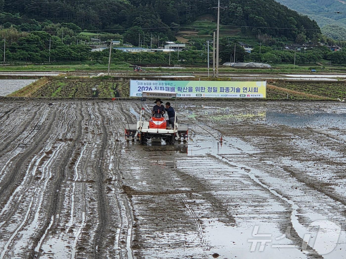 본문 이미지 - 지난 5월 보성에서 진행된 직파재배 시연.(한국농업기술진흥원 제공. 재판매 및 DB금지) ⓒ 뉴스1 