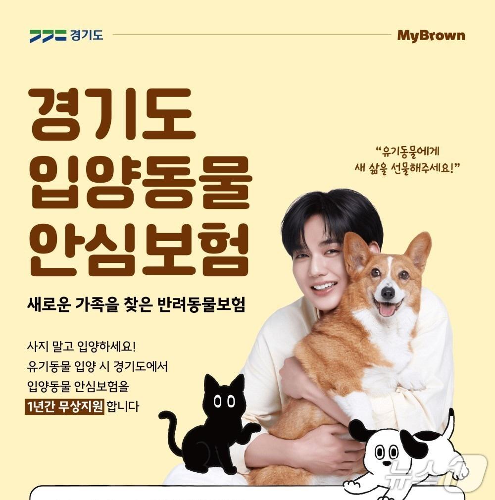 본문 이미지 - 마이브라운, 1년 무상 경기도 입양동물 안심보험 지원/사진제공=마이브라운