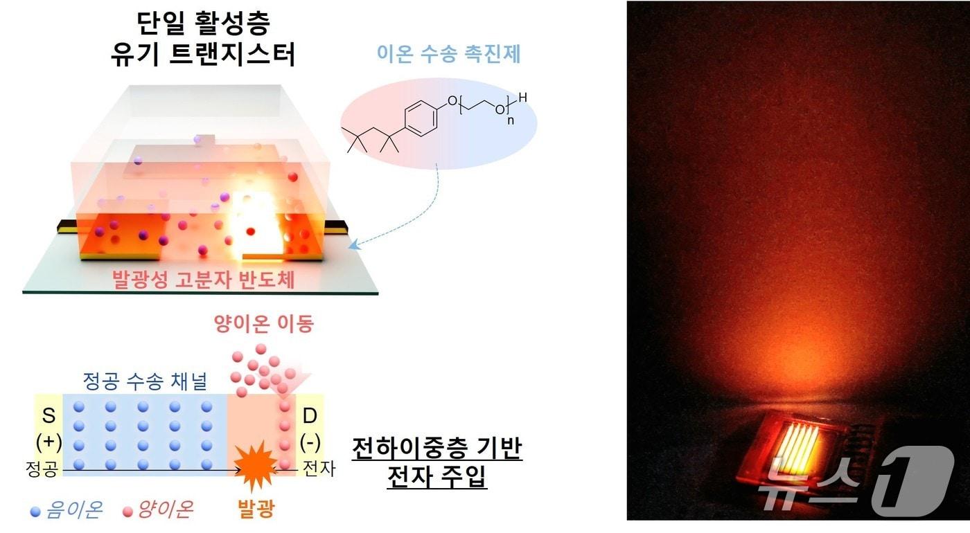 본문 이미지 - 초저전압 유기발광트랜지스터 동작 원리 및 웨어러블 응용(서울대 이태우 교수 제공) /뉴스1