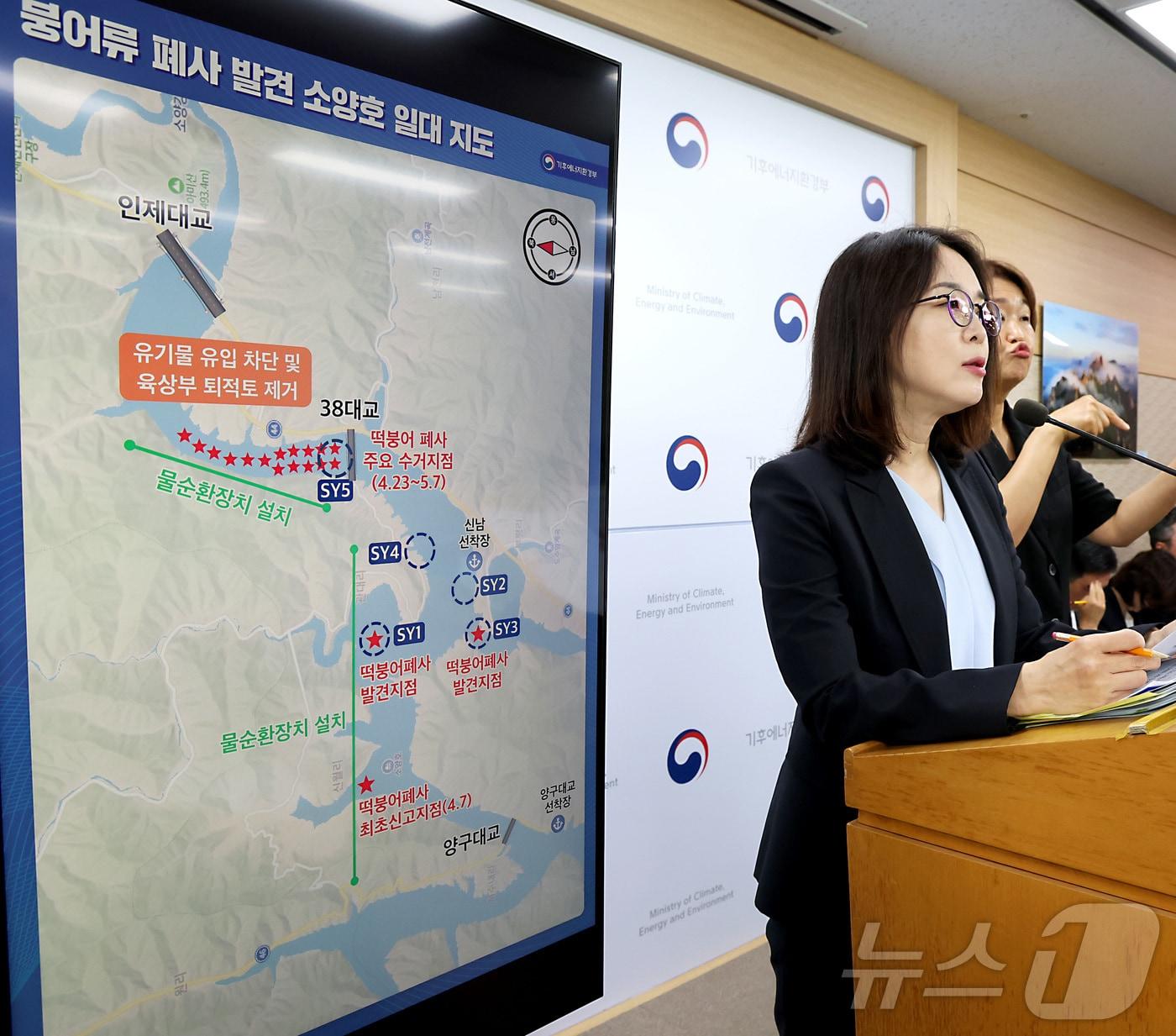 본문 이미지 - 김은경 기후에너지환경부 물환경정책관이 9일 세종시 정부세종청사에서 지난 4월 강원도 소양호 상류에서 발생한 붕어류 폐사 원인 조사와 대책 내용을 발표하고 있다. 2026.6.9 ⓒ 뉴스1 김기남 기자