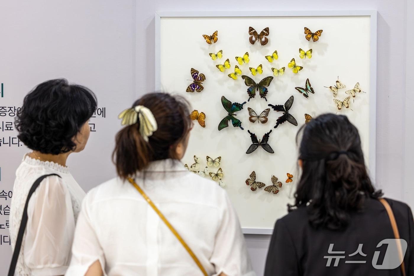 본문 이미지 - HD현대1%나눔재단과 국립공원공단이 국회의원회관 제2로비에서 개최한 '중증장애인 생물표본 제작 성과 전시회'에서 관람객들이 전시된 생물표본을 살펴보는 모습(HD현대 제공)