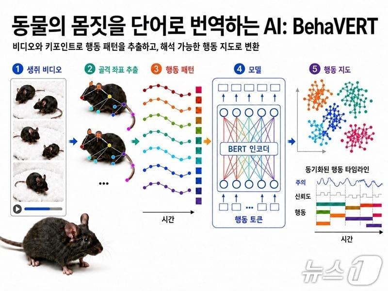 본문 이미지 - 비헤이버트 연구 개요(KAIST 제공) /뉴스1