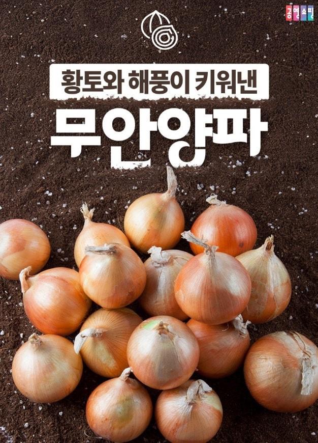 본문 이미지 - 공영홈쇼핑의 양파 소비 촉진 방송(공영홈쇼핑 제공)