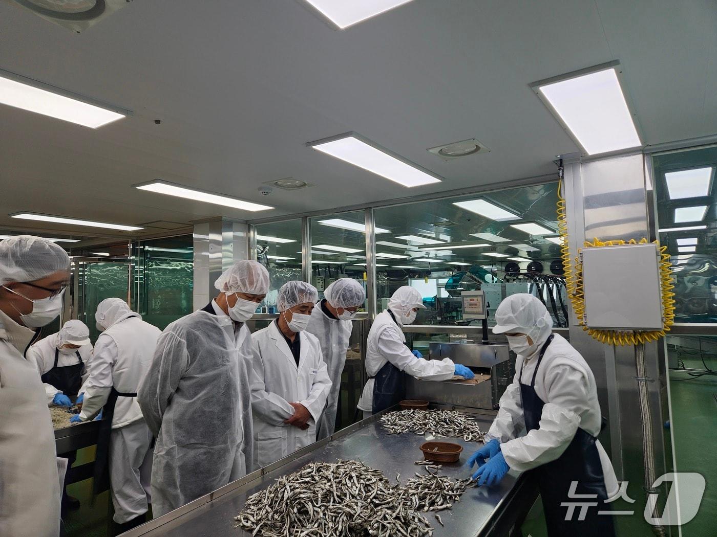 본문 이미지 - 경기도가 올해 수산물 안전성 검사 대폭 확대와 유통 기반 확충에 51억8000만원을 투입한다. 사진은 지난해 5월 12일 경기도농수산진흥원이 시군급식지원센터와 함께 수산물 공급업체 현장점검을 하고 있는 모습.(경기도농수산진흥원 제공. 재판매 및 DB금지)/뉴스1