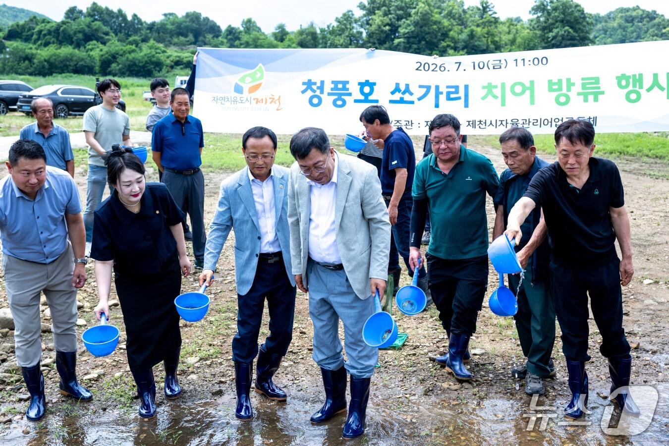 본문 이미지 - 제천시 청풍호에 방류되는 쏘가리 치어.(제천시 제공. 재판매 및 DB금지)/뉴스1 